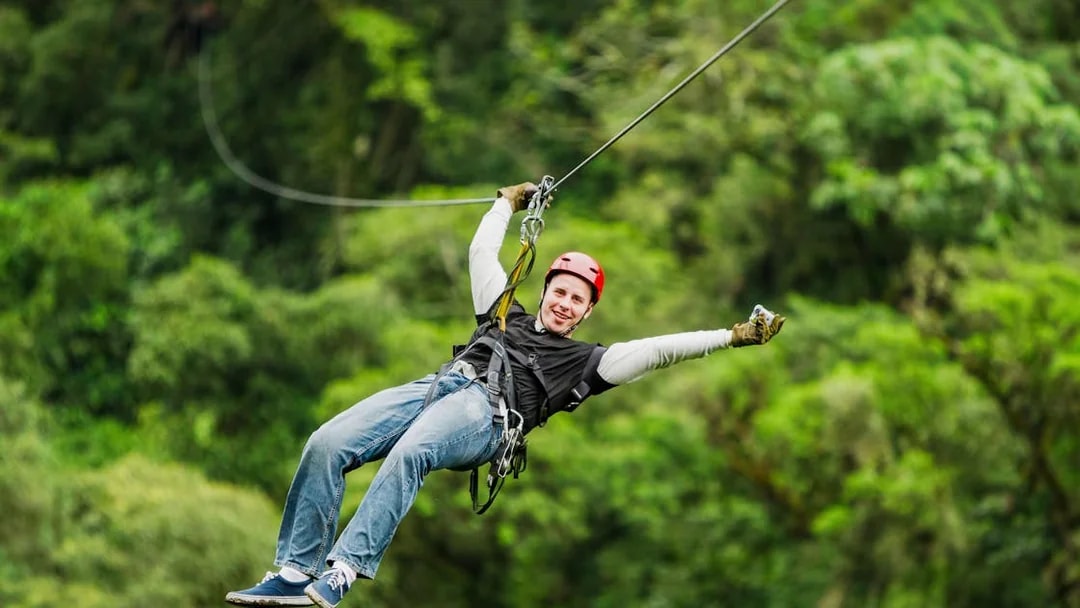 Person ziplining through lush forest at Waitomo Caves Zipline Park.