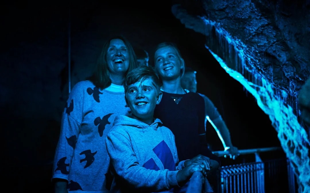 Waitomo Glowworm Caves Guided Tour Image 5