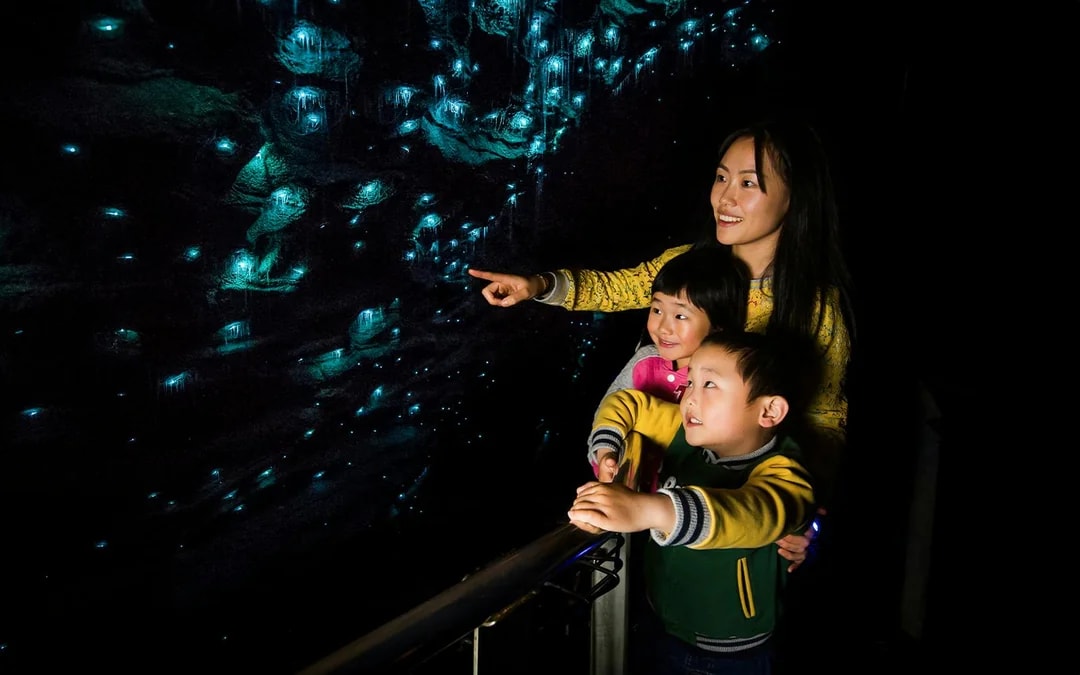 Waitomo Glowworm Caves Guided Tour Image 6