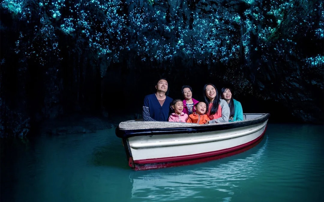 Waitomo Glowworm Caves Guided Tour Image 1