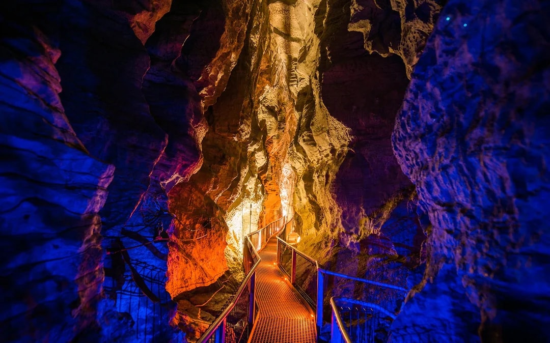 Waitomo Glowworm Caves Guided Tour Image 11