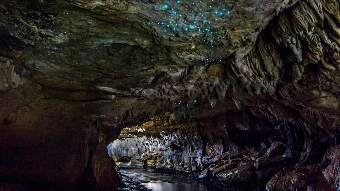 Glowworms illuminating the Waitomo Caves ceiling during a small group guided tour.