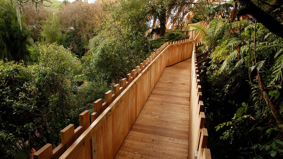 Wooden walkway surrounded by lush greenery on the Guided Tour of Waitomo Glowworm Caves.