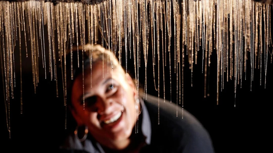 Glowworms hanging in Waitomo Caves during a guided tour.