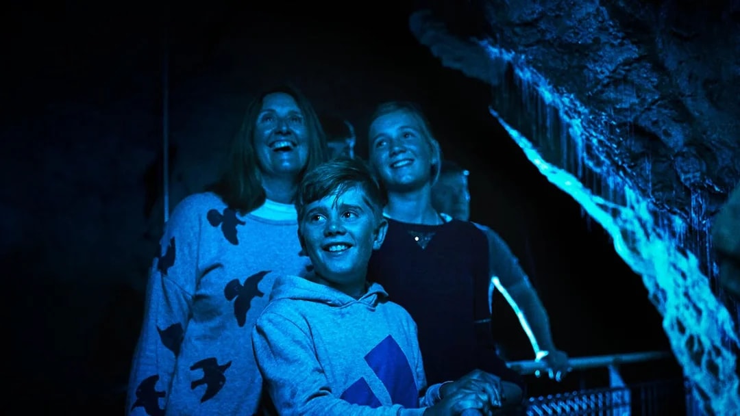 Visitors admiring glowworms in Waitomo Glowworm Caves during guided tour.