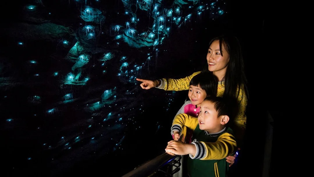 Visitors admire glowworms and stalactites in Waitomo Glowworm Caves, New Zealand.