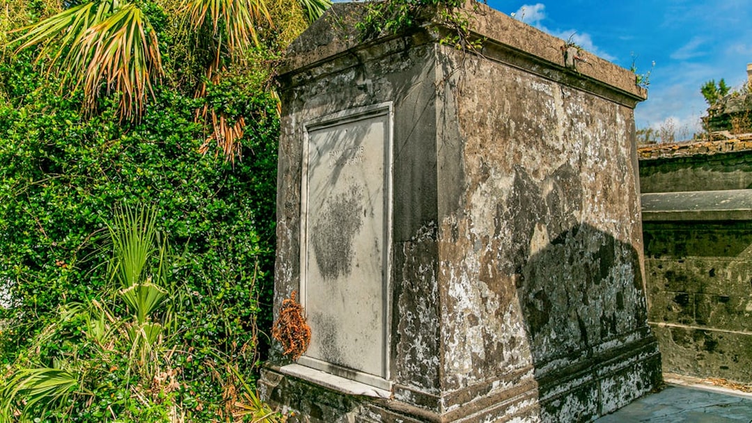 Tomb surrounded by greenery inside St. Louis Cemetery, New Orleans.