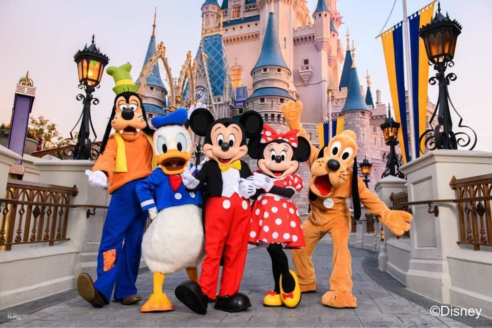Walt Disney World Resort Ticket - Orlando (36325)