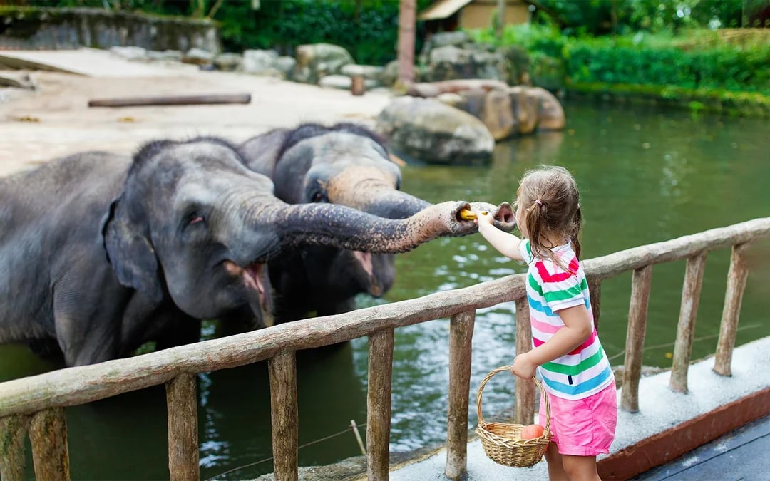 Warsaw Zoo Skip-the-Line Tickets Image 1