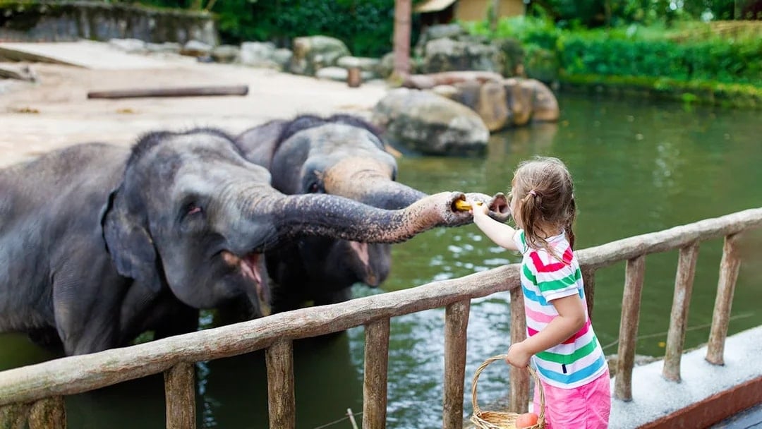 Warsaw Zoo Skip-the-Line Tickets