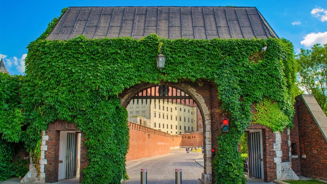 Entrance to Wawel Castle covered in ivy, Krakow, Poland, part of the Wawel Hill Audioguide Tour.