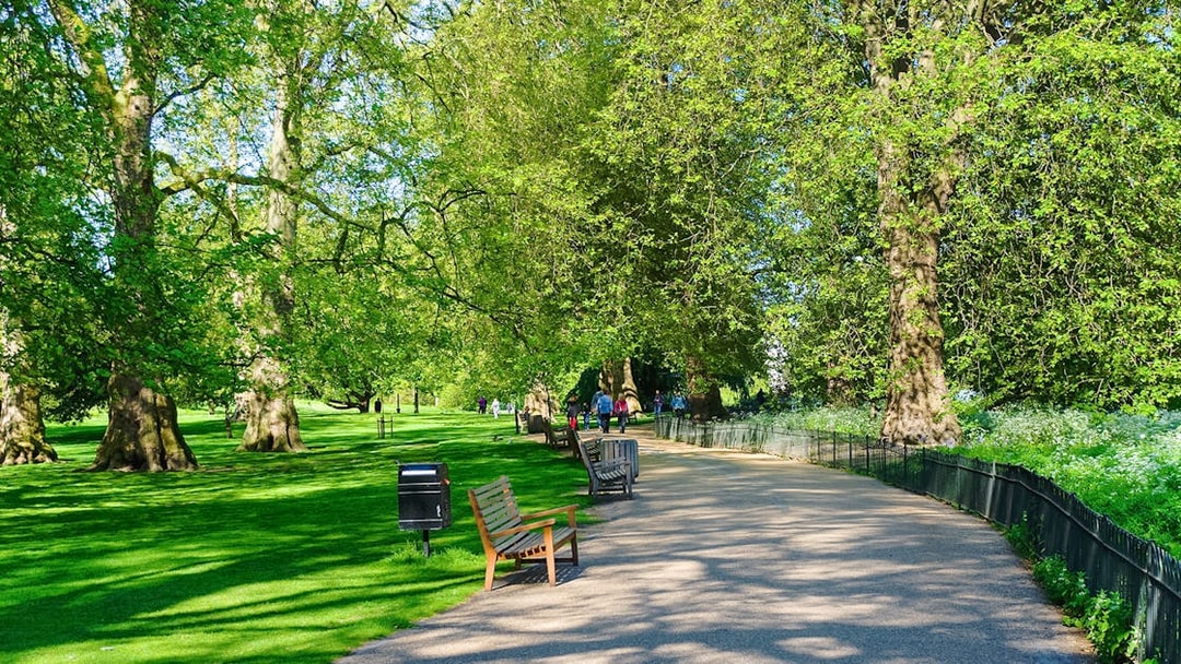 Pathway through a park with benches and trees, part of the Westminster guided tour.