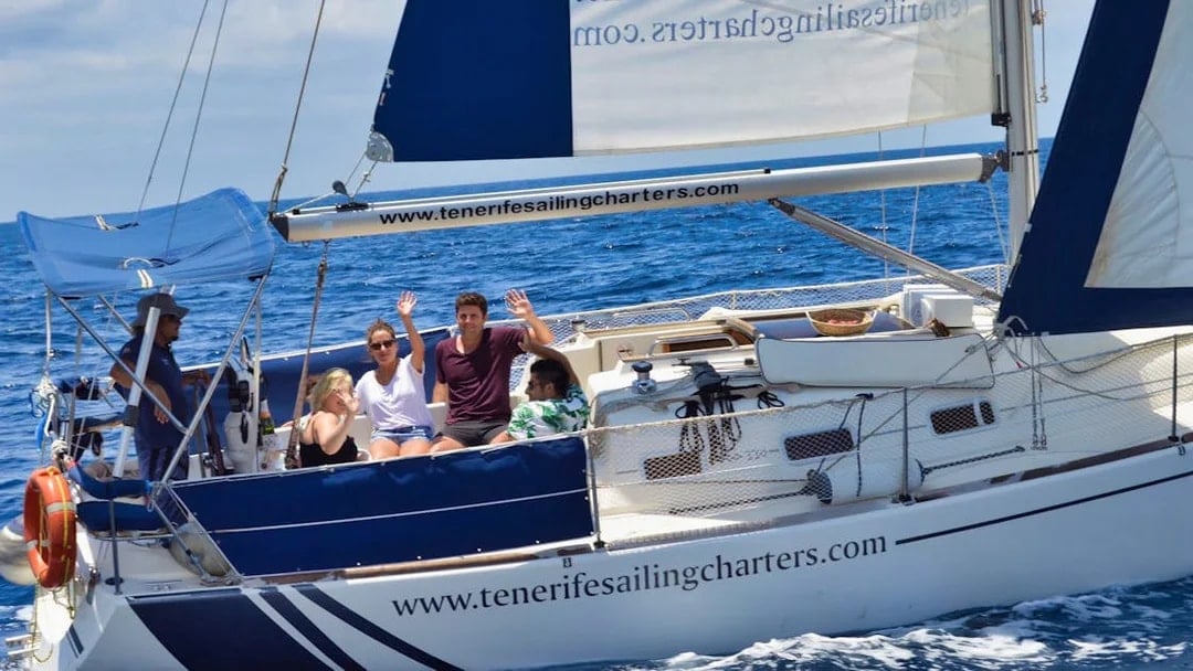 Costa Adeje: Private Whale & Dolphin Watching Cruise Cruise with Hotel Transfers