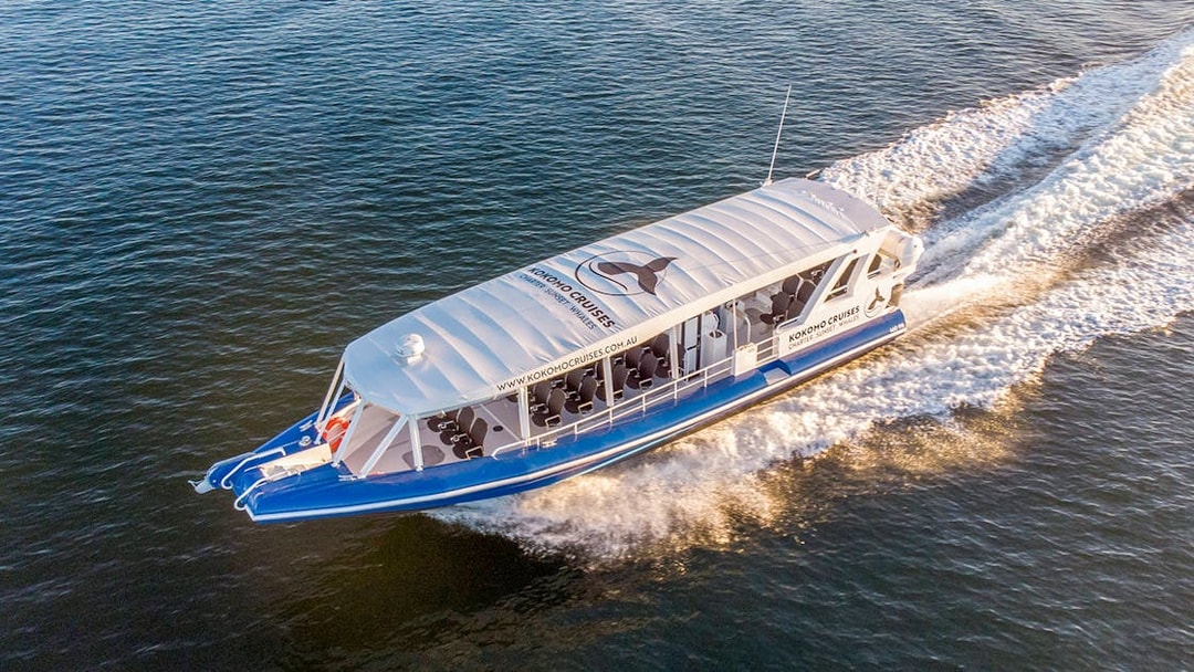 Whale watching boat cruising on Gold Coast waters.