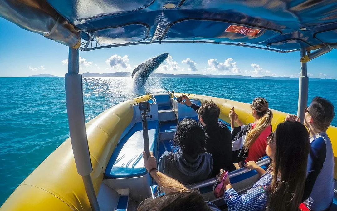 Whitsunday Islands: Fly and Raft Package Image 7