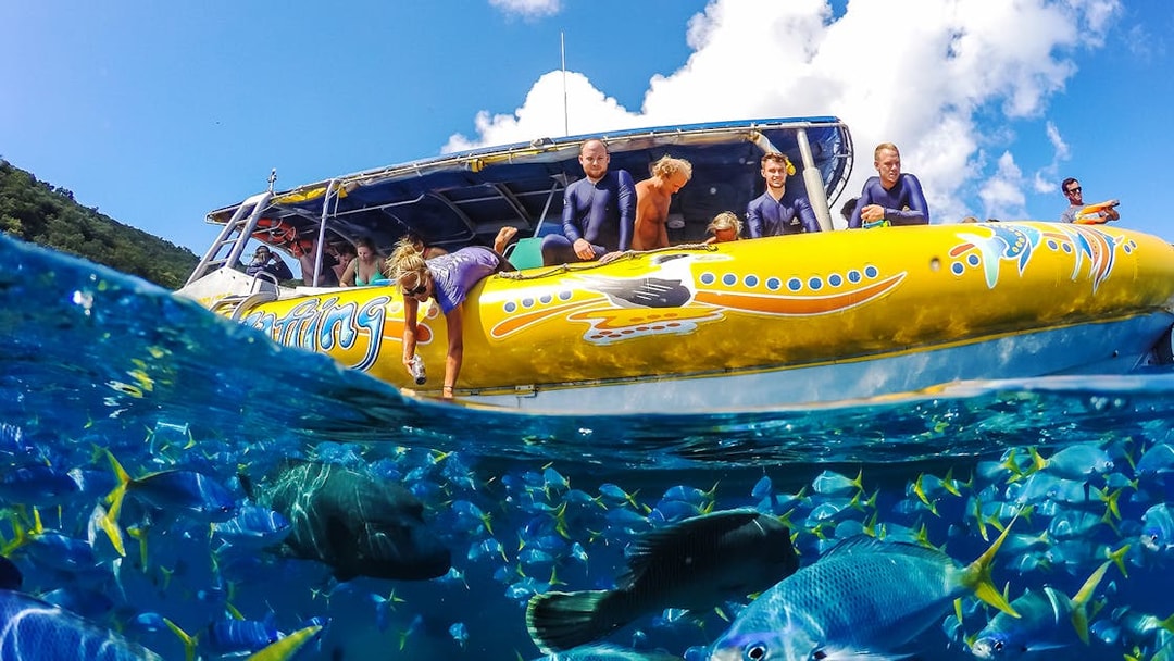Tourists on a yellow raft in the Whitsundays, viewing colorful fish in clear blue water.