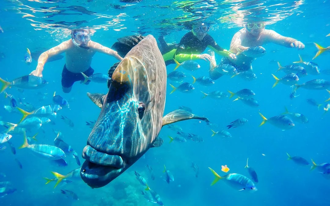 Whitsunday Islands: Fly and Raft Package Image 10