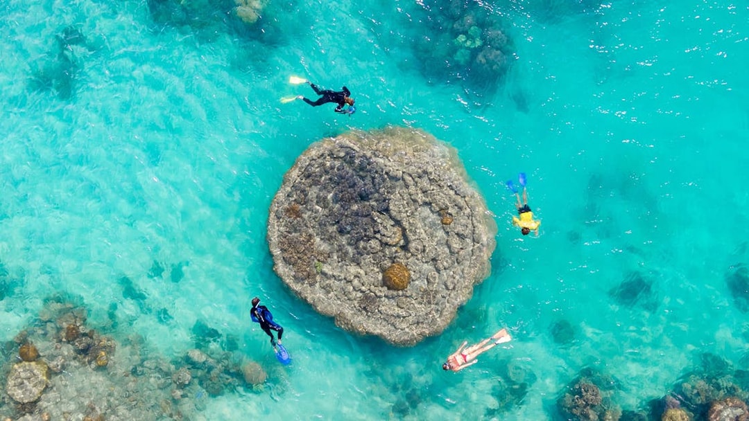 Snorkelers exploring coral reef in clear waters, Whitsundays Fly + Raft Package.