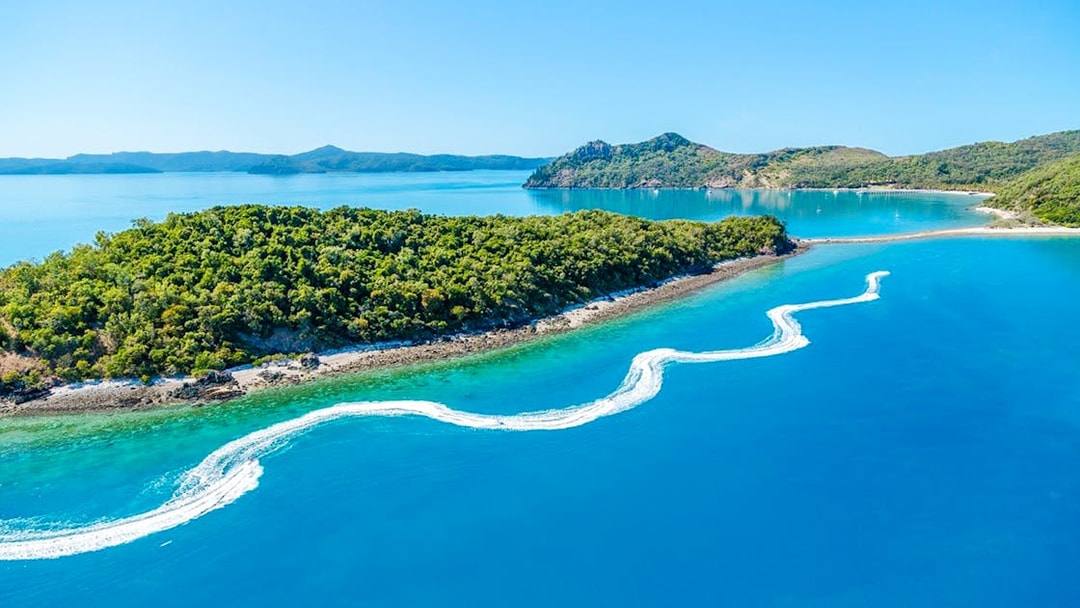 Aerial view of jetski trails near lush island in Whitsundays, Australia.