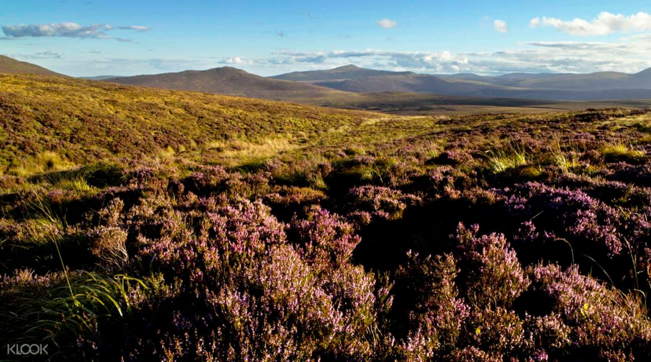 Wicklow Mountains and Glendalough Tour from Dublin