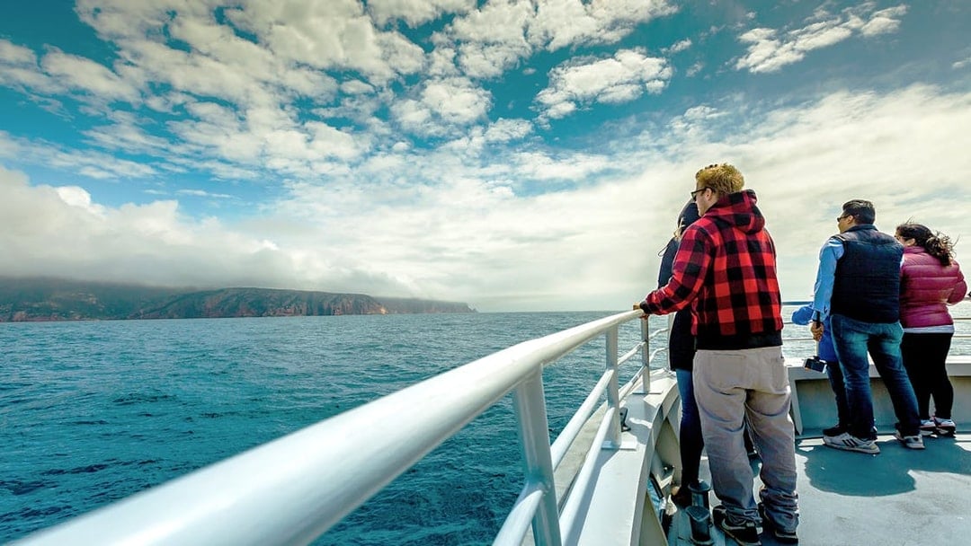 Tourists on a Wineglass Bay cruise boat viewing the coastline of Tasmania.