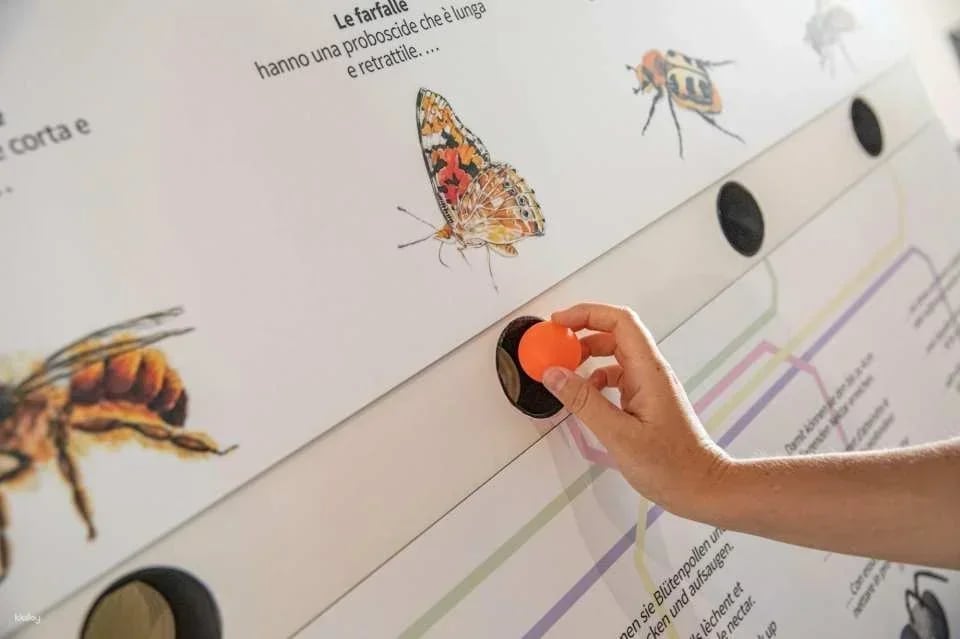 Ticket World Nature Forum