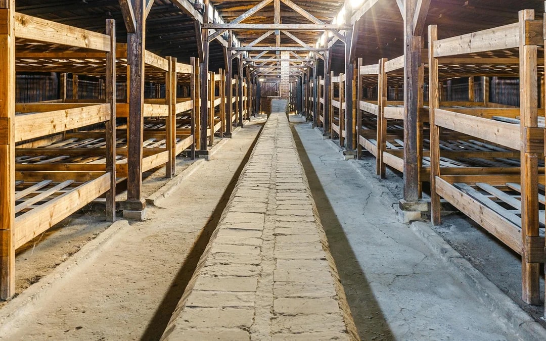 From Wroclaw: Auschwitz Birkenau Guided Tour with Transfers Image 8