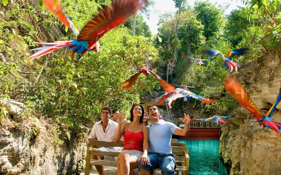 Xcaret Park Entry Tickets Image 1