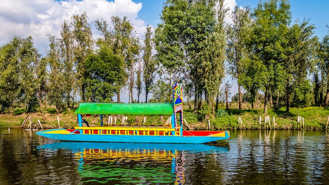 Colorful trajinera boat on Xochimilco canal, Mexico City, with trees in the background.