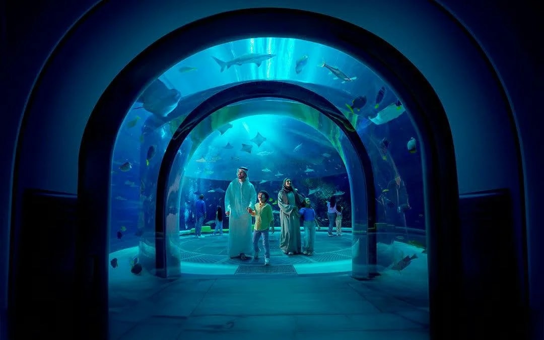 Yas Island Abu Dhabi: Multi-Park Hopper Pass - Save up to 50% Image 12
