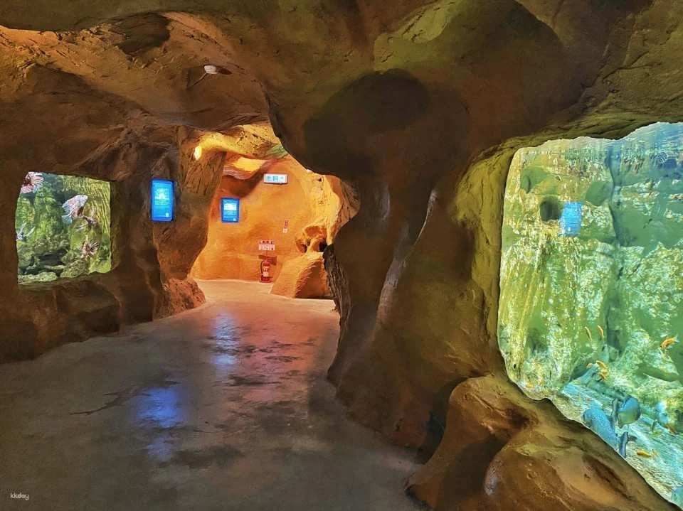 Yehliu Ocean World Ticket