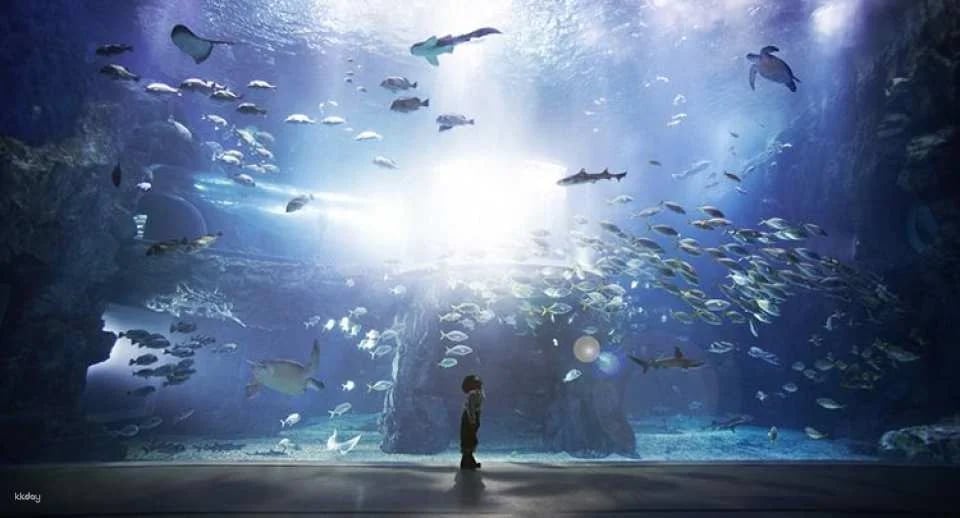 [Yeosu, South Jeolla Province] Hanwha Aqua Planet Admission Ticket (Foreigners Only)