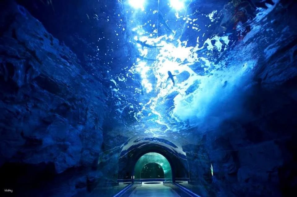 [Yeosu, South Jeolla Province] Hanwha Aqua Planet Admission Ticket (Foreigners Only)