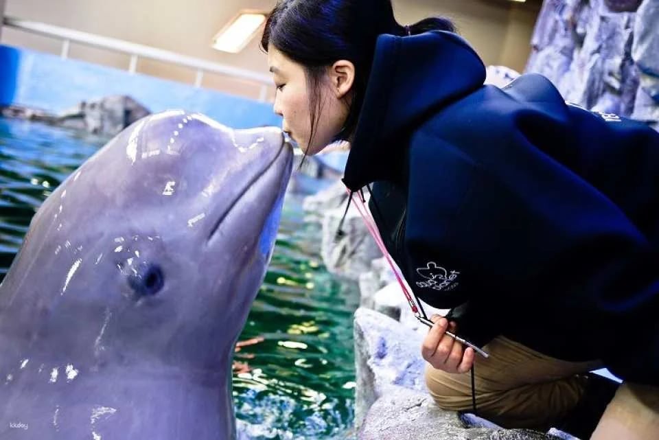 [Yeosu, South Jeolla Province] Hanwha Aqua Planet Admission Ticket (Foreigners Only)