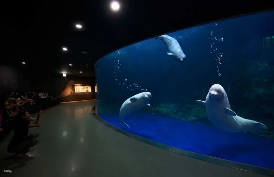 [Yeosu, South Jeolla Province] Hanwha Aqua Planet Admission Ticket (Foreigners Only)