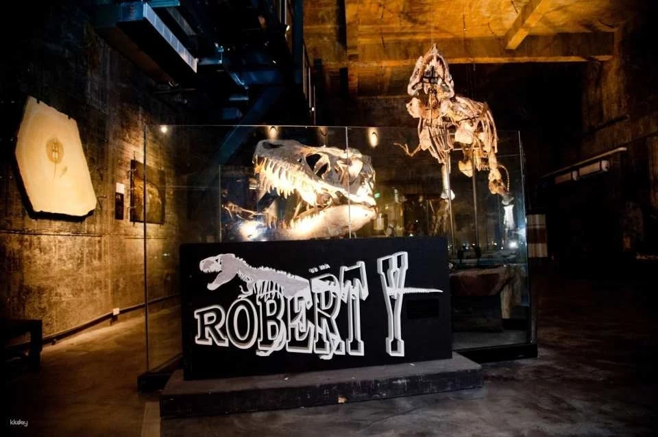 Yilan - Suao Robert Y Ruin Tyrannosaurus Museum Package