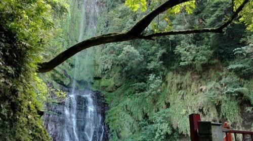 Yilan Classic Tour: Zhang Mei Farm & Qingshui Geothermal DIY (Hotel Pickup from Taipei) Day Tours
