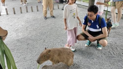 Yilan Classic Tour: Zhang Mei Farm & Qingshui Geothermal DIY (Hotel Pickup from Taipei) Day Tours