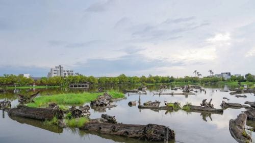 Yilan Classic Tour: Zhang Mei Farm & Qingshui Geothermal DIY (Hotel Pickup from Taipei) Day Tours