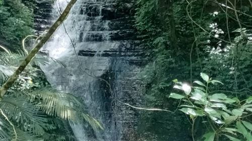 Yilan Classic Tour: Zhang Mei Farm & Qingshui Geothermal DIY (Hotel Pickup from Taipei) Day Tours