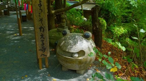 A day trip to Yufuin, Nyoji Temple, Yufuin, Lake Kinrin, and Beppu Hell Hot Springs in Kyushu. Day Tours