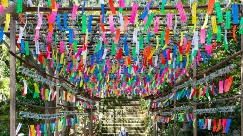 A day trip to Yufuin, Nyoji Temple, Yufuin, Lake Kinrin, and Beppu Hell Hot Springs in Kyushu. Day Tours