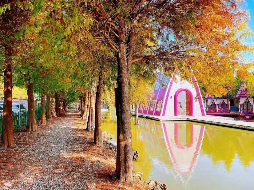 Yunlin Pink Bubble Coffee Tickets