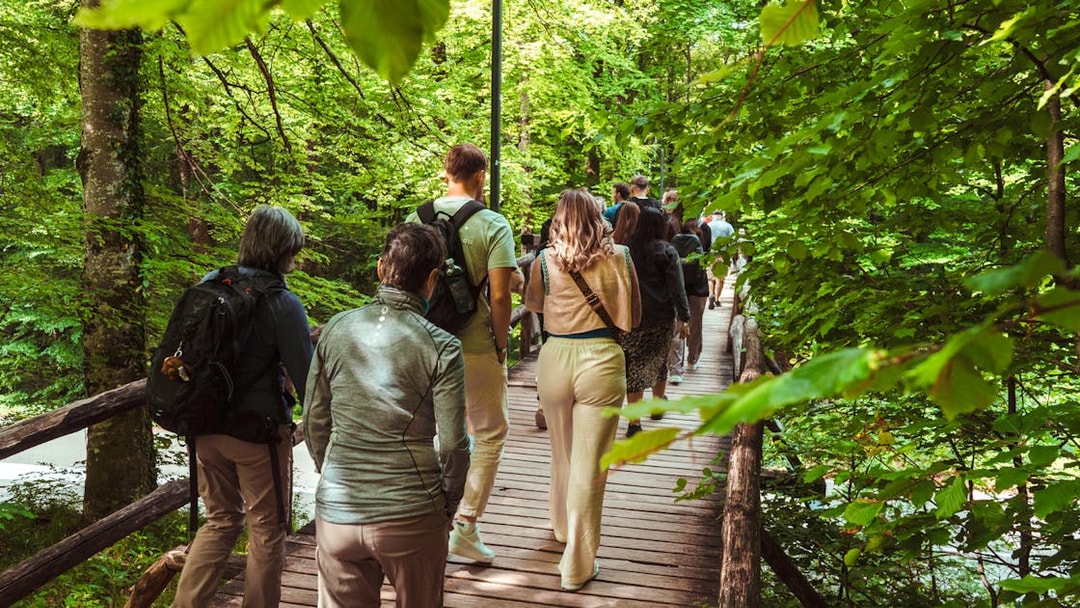 Group walking on a wooden path through a lush green forest.