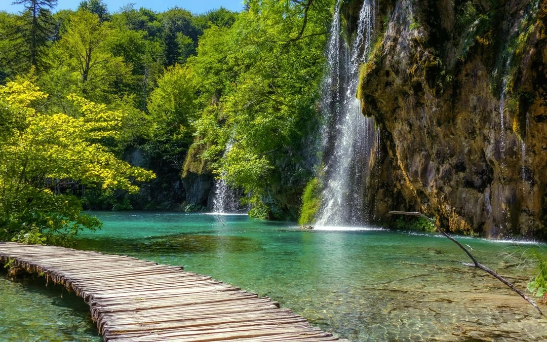 From Zadar: Full-Day Trip to Plitvice Lakes National Park Image 7