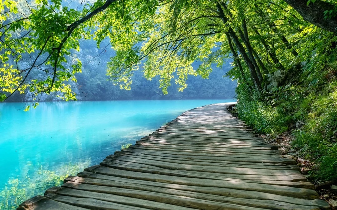 From Zagreb: Full-Day Trip to Plitvice Lakes National Park and Rastoke Village Image 9