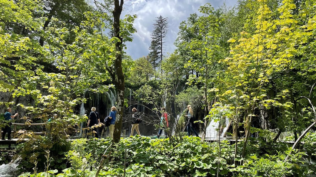 Visitors walking through lush greenery at Plitvice Lakes National Park, Croatia.