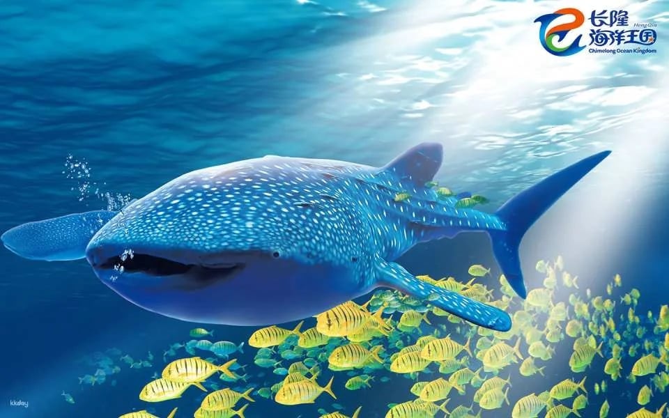 Zhuhai Chimelong Ocean Kingdom Tickets | Exclusive Offer Includes AIRSIM Global Data SIM