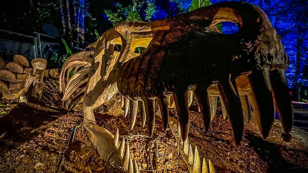 Dinosaur skeleton exhibit at Zoo Melaka, Malaysia.