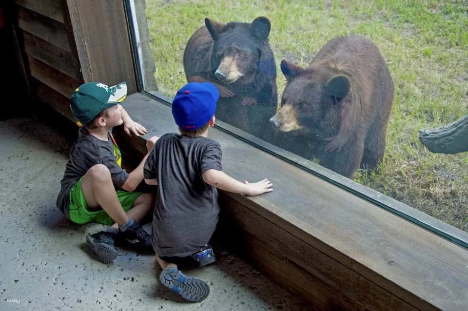 Zoo Miami Skip The Line Ticket | Florida
